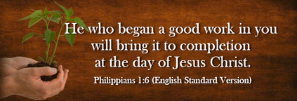 philippians bible standard thefellowshipsite